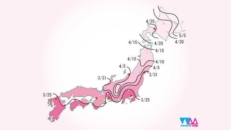 2025年日本全国樱花开放时间界面展示