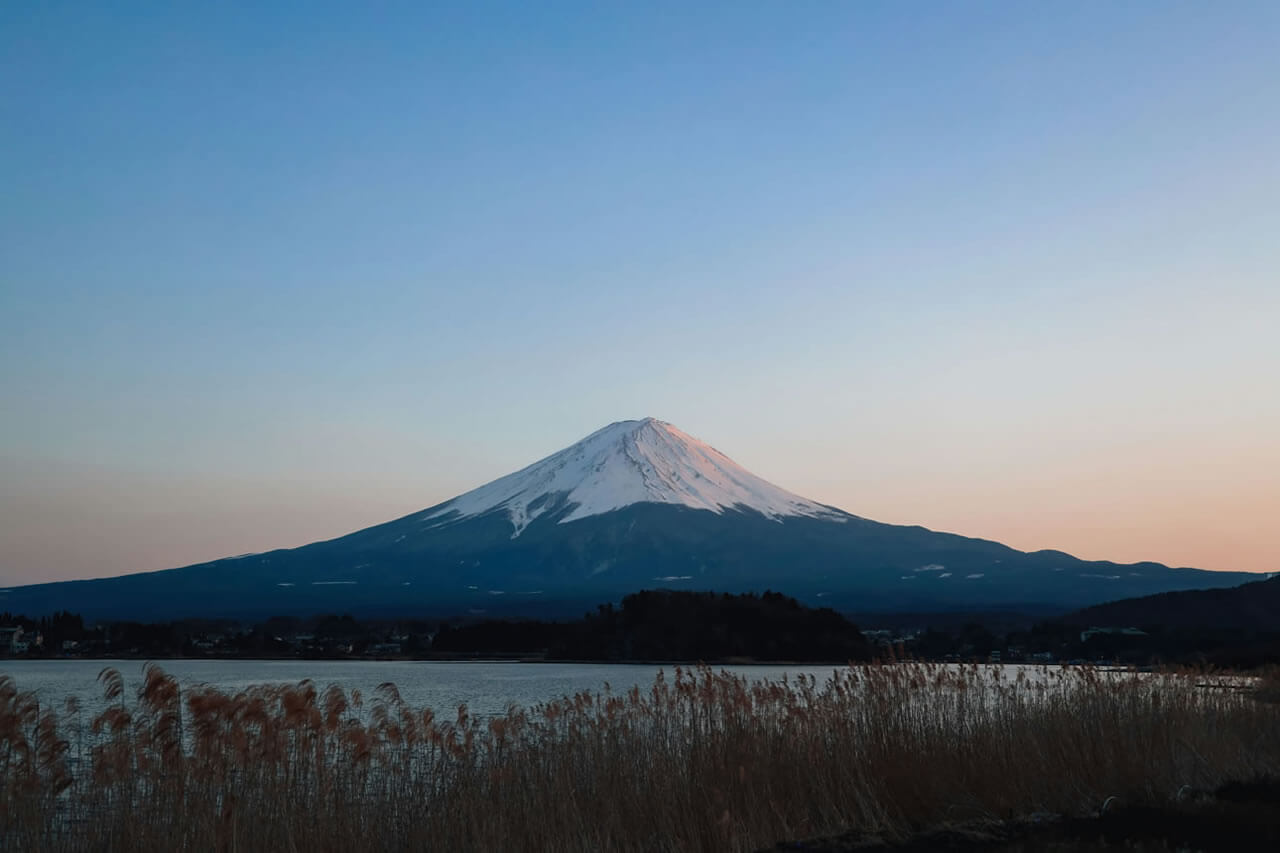 日本医疗健康旅游指南